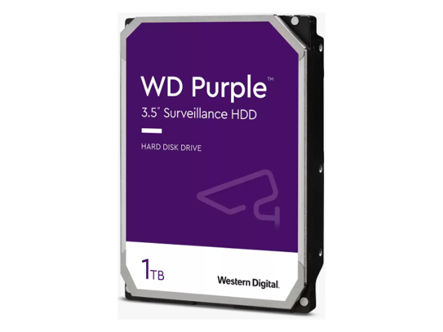 WD11PURZ