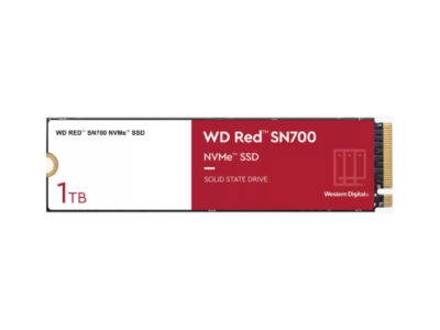 WDS100T1R0C