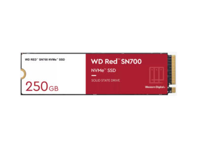 WDS250G1R0C